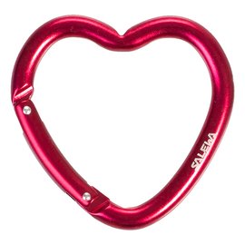 Obrázek produktu: Salewa Heart Carabiner